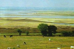 1_Yamuna-River-1993