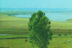 River-Yamuna-1993