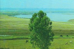 River-Yamuna-1993