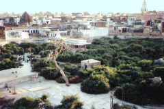 Seva-Kunja-1996