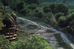 Vrindavana-Parikrama-1980