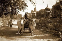 Vrindavana-Parikrama-1995