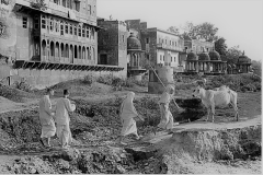 Vrindavana-parikrama-1972
